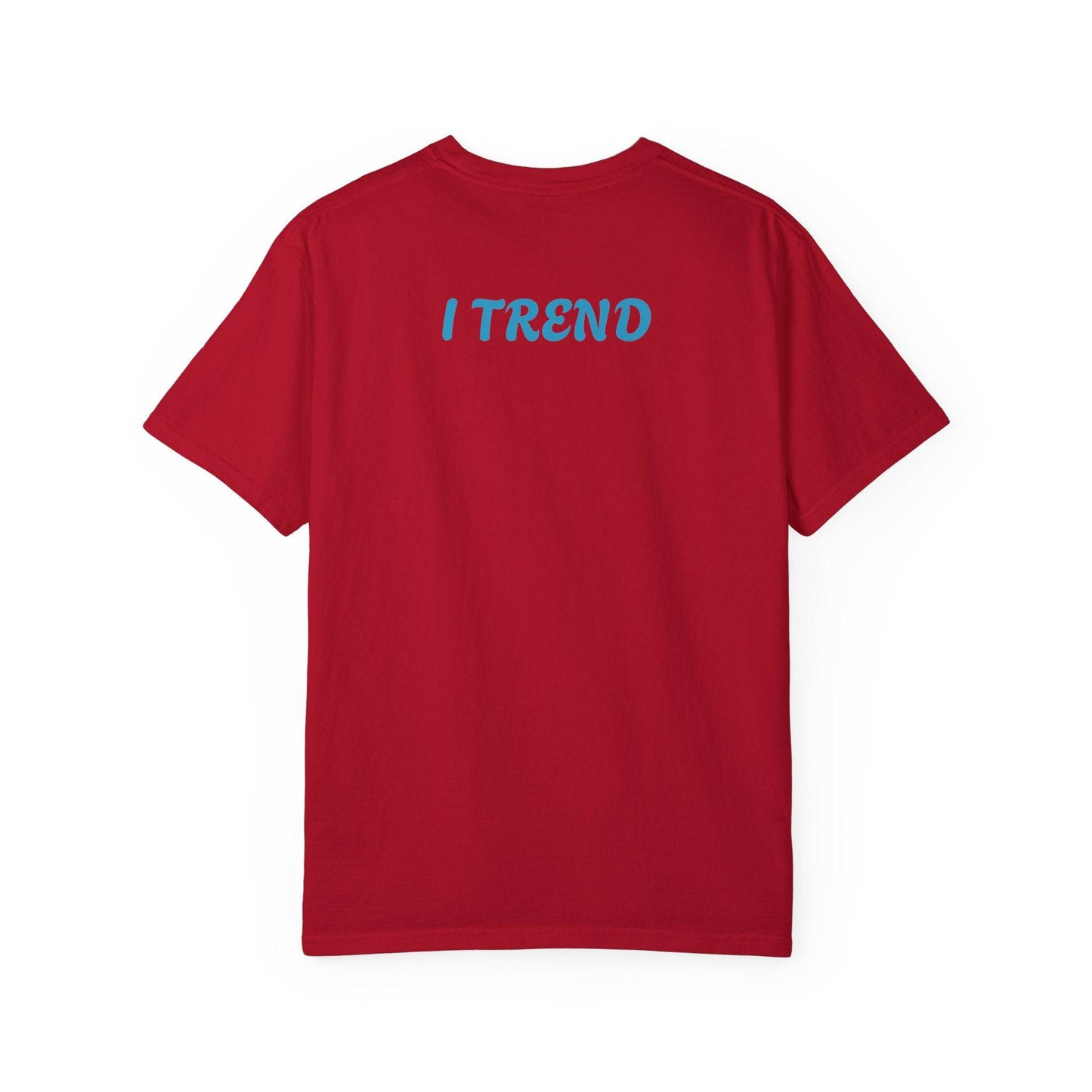 Trend Unisex Garment-Dyed T-shirt - Zion Legend Fashions