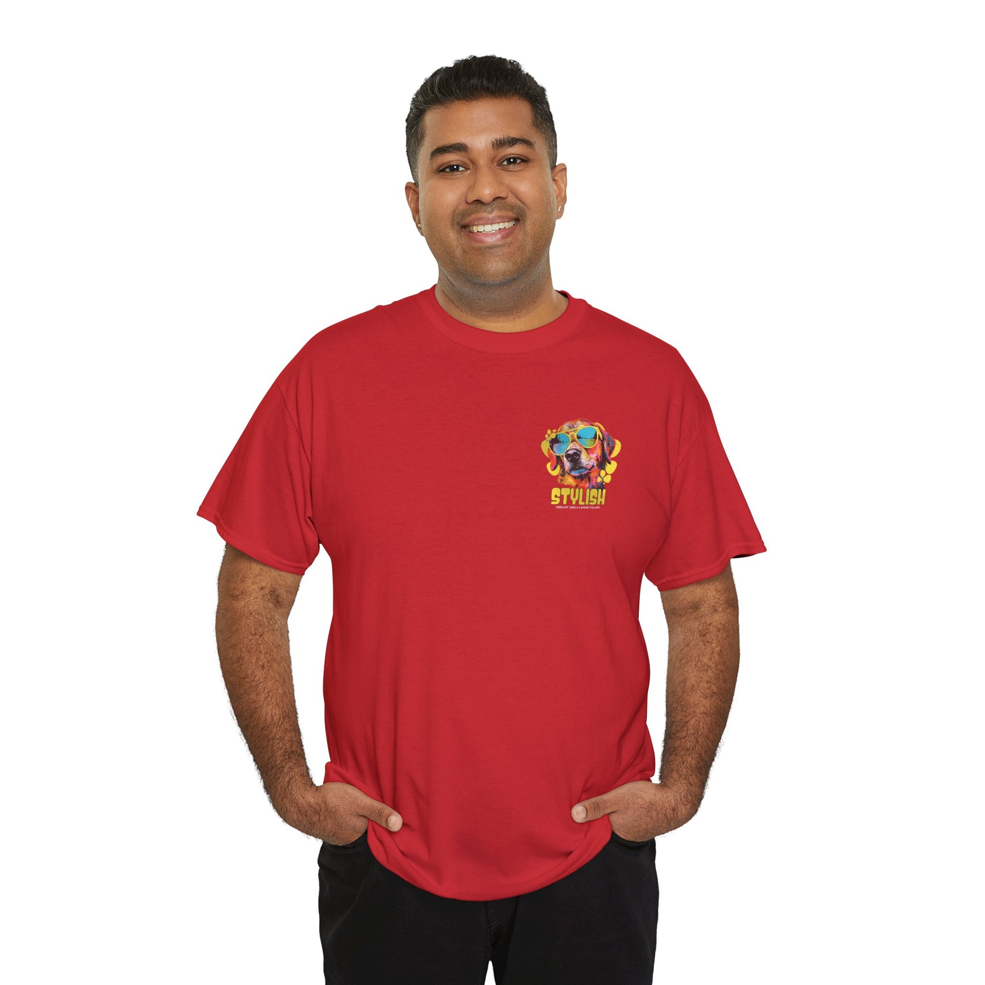 Stylish Unisex Heavy Cotton Tee - Zion Legend Fashions