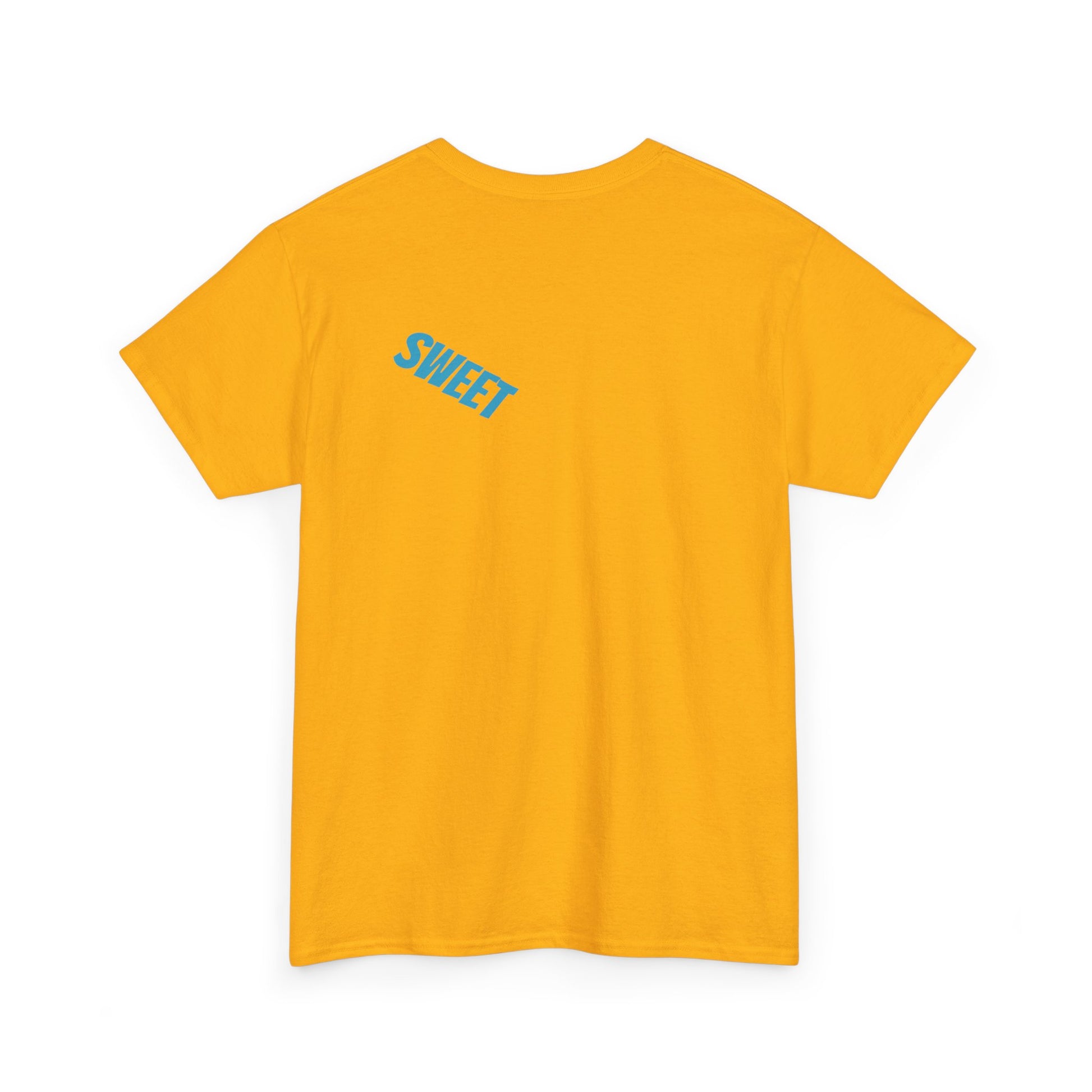 Companion Unisex Heavy 100% US Cotton Tee - Zion Legend Fashions