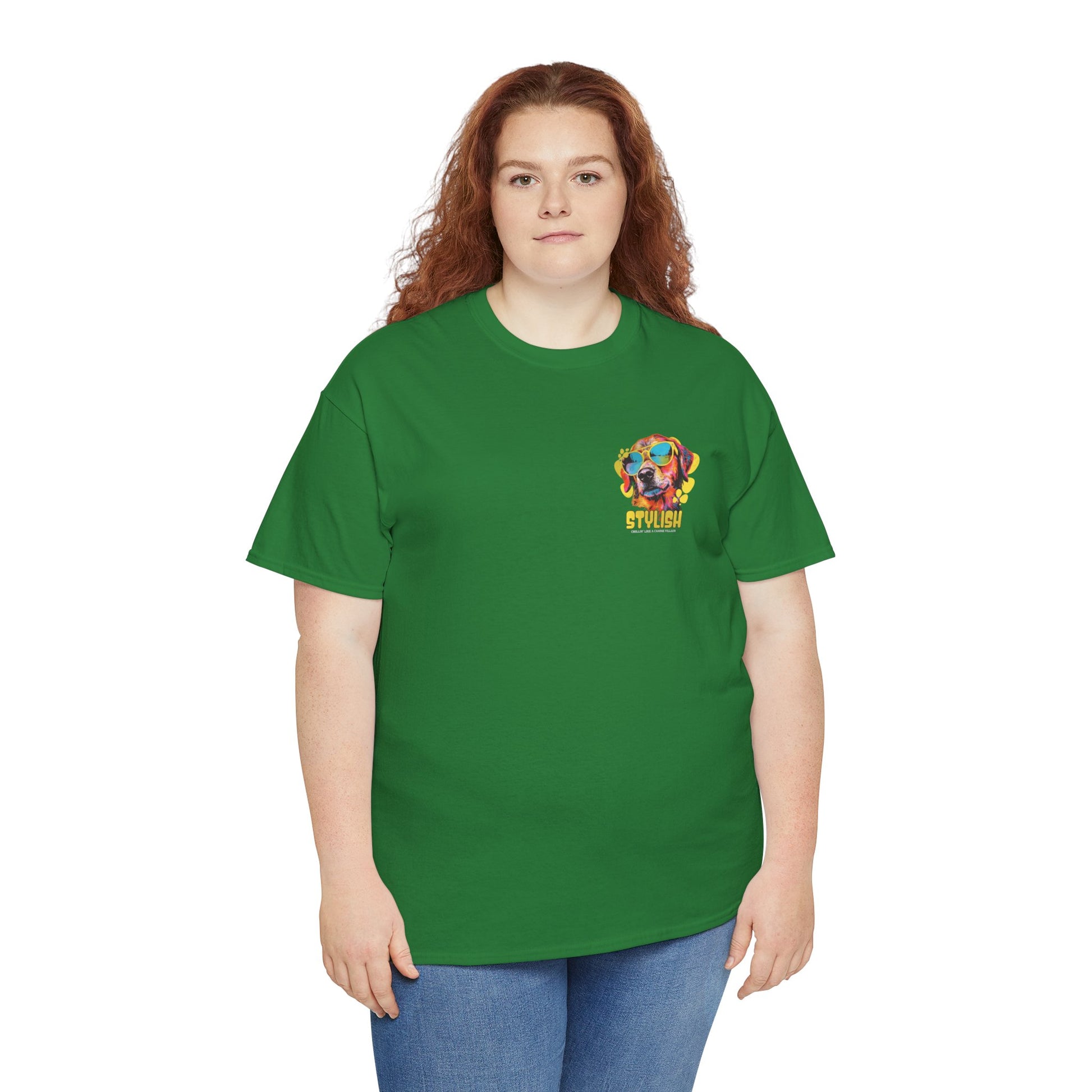Stylish Unisex Heavy Cotton Tee - Zion Legend Fashions