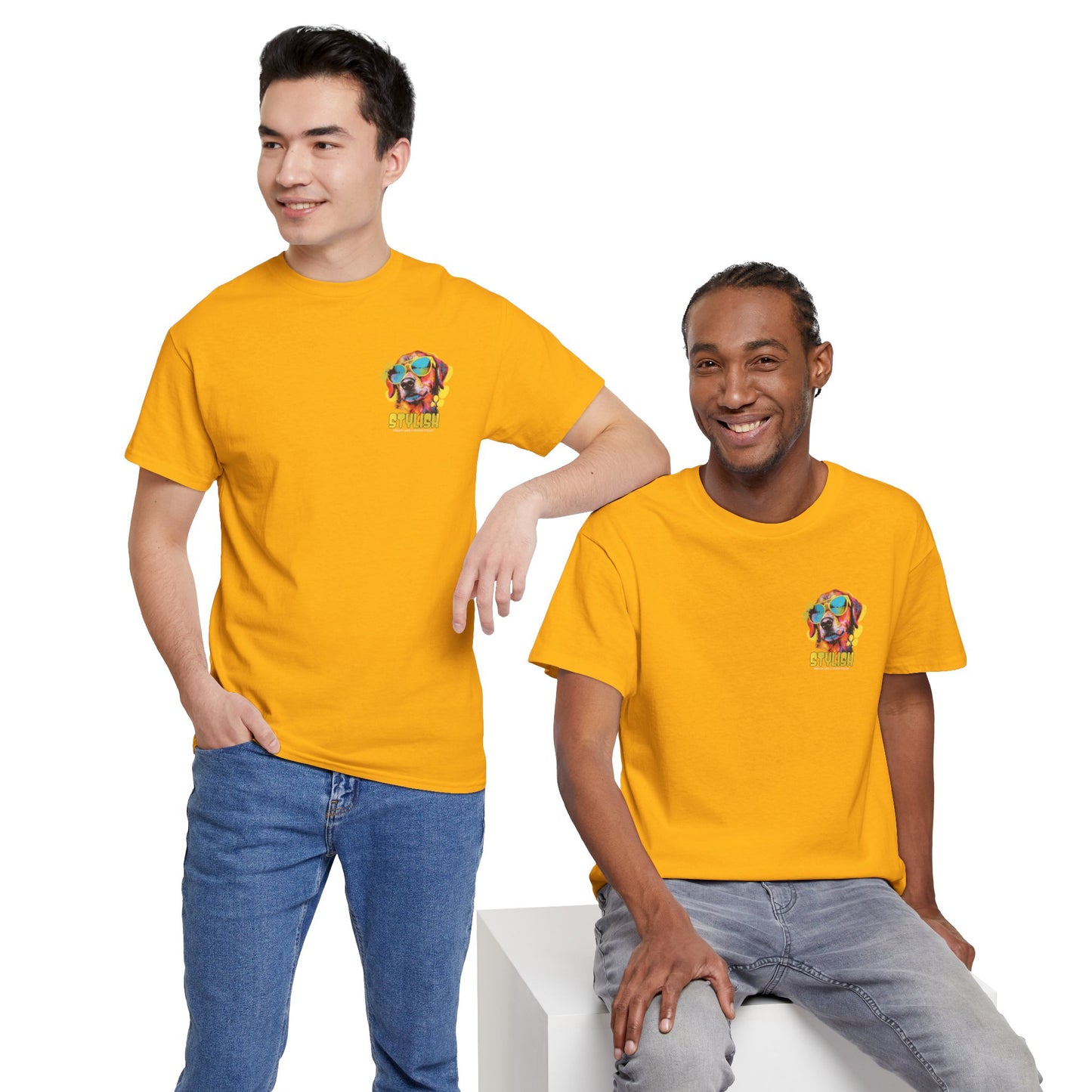 Stylish Unisex Heavy Cotton Tee - Zion Legend Fashions