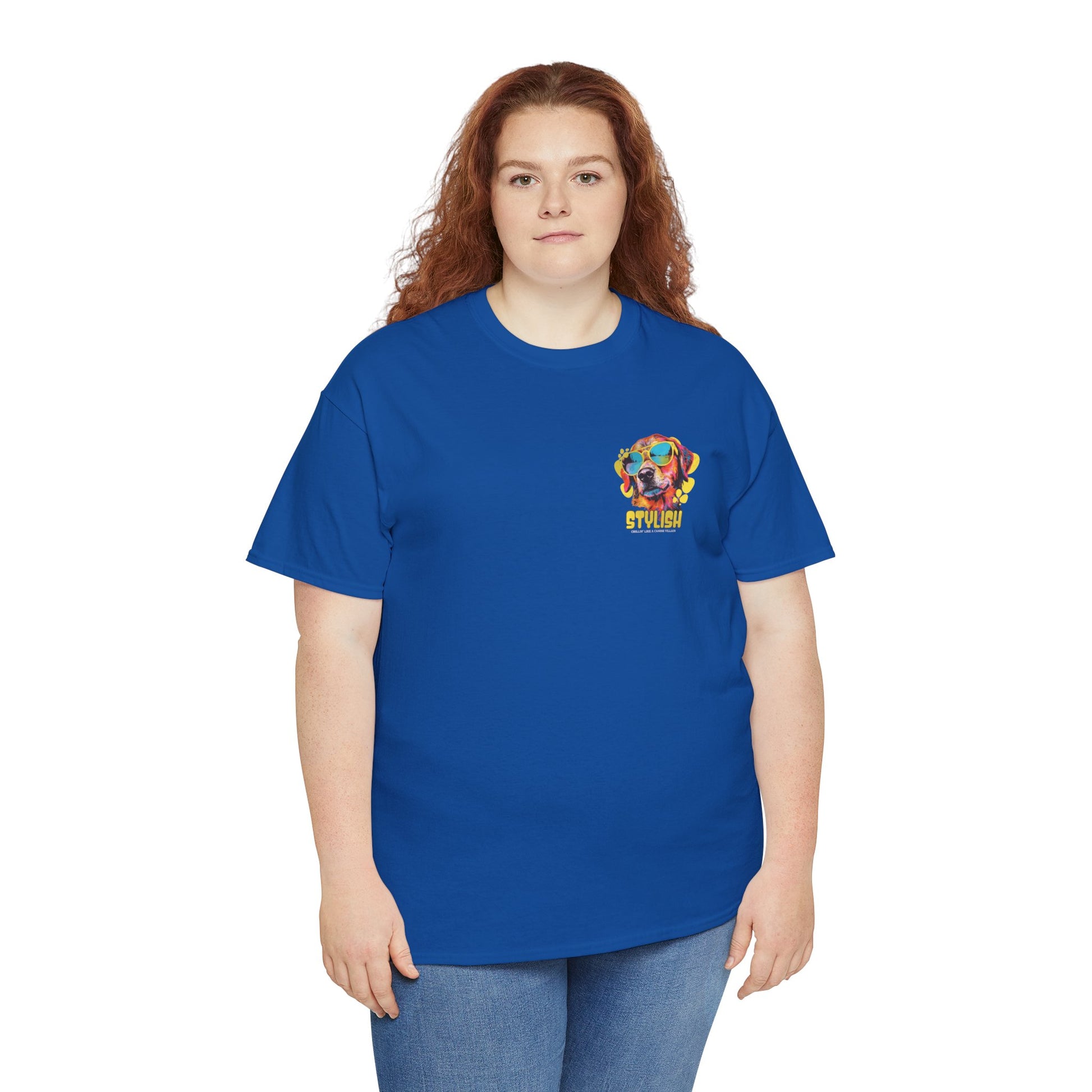 Stylish Unisex Heavy Cotton Tee - Zion Legend Fashions
