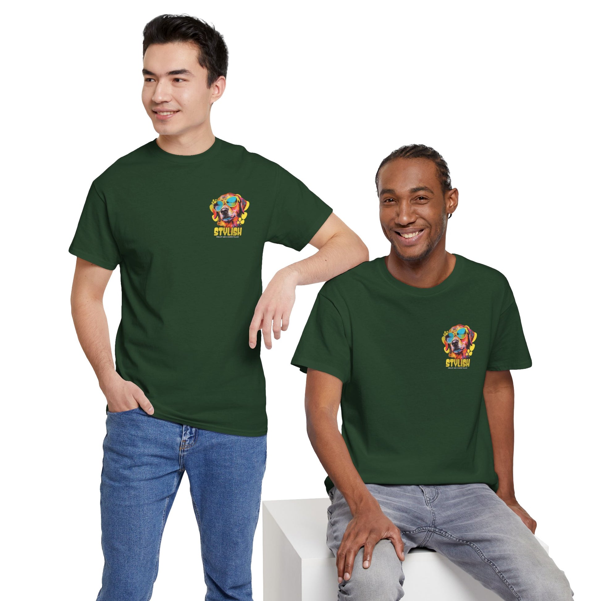 Stylish Unisex Heavy Cotton Tee - Zion Legend Fashions