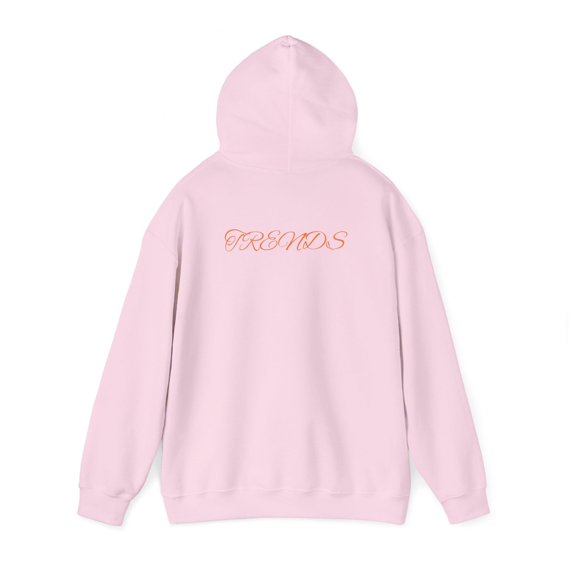 Zion Legend Unisex Heavy Blend™ Hooded Sweatshirt - Zion Legend Fashions
