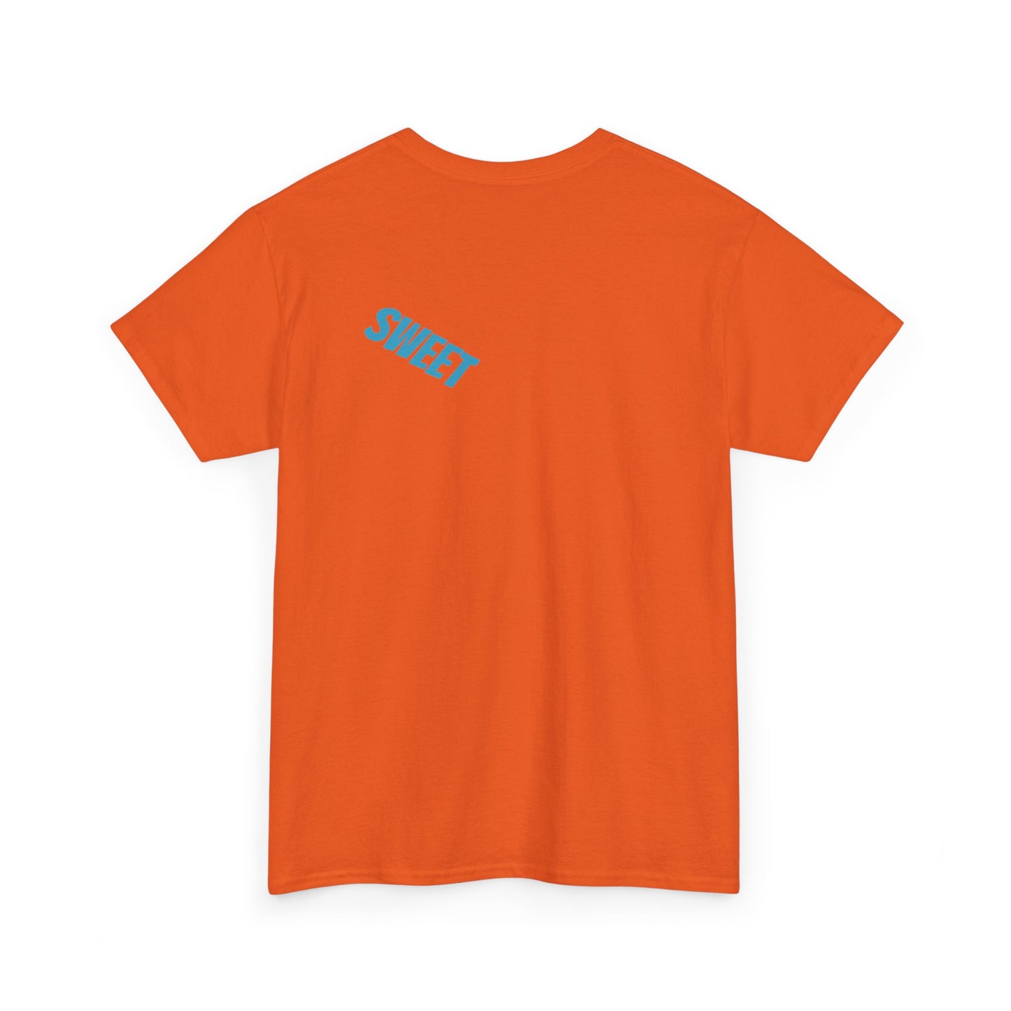 Companion Unisex Heavy 100% US Cotton Tee - Zion Legend Fashions