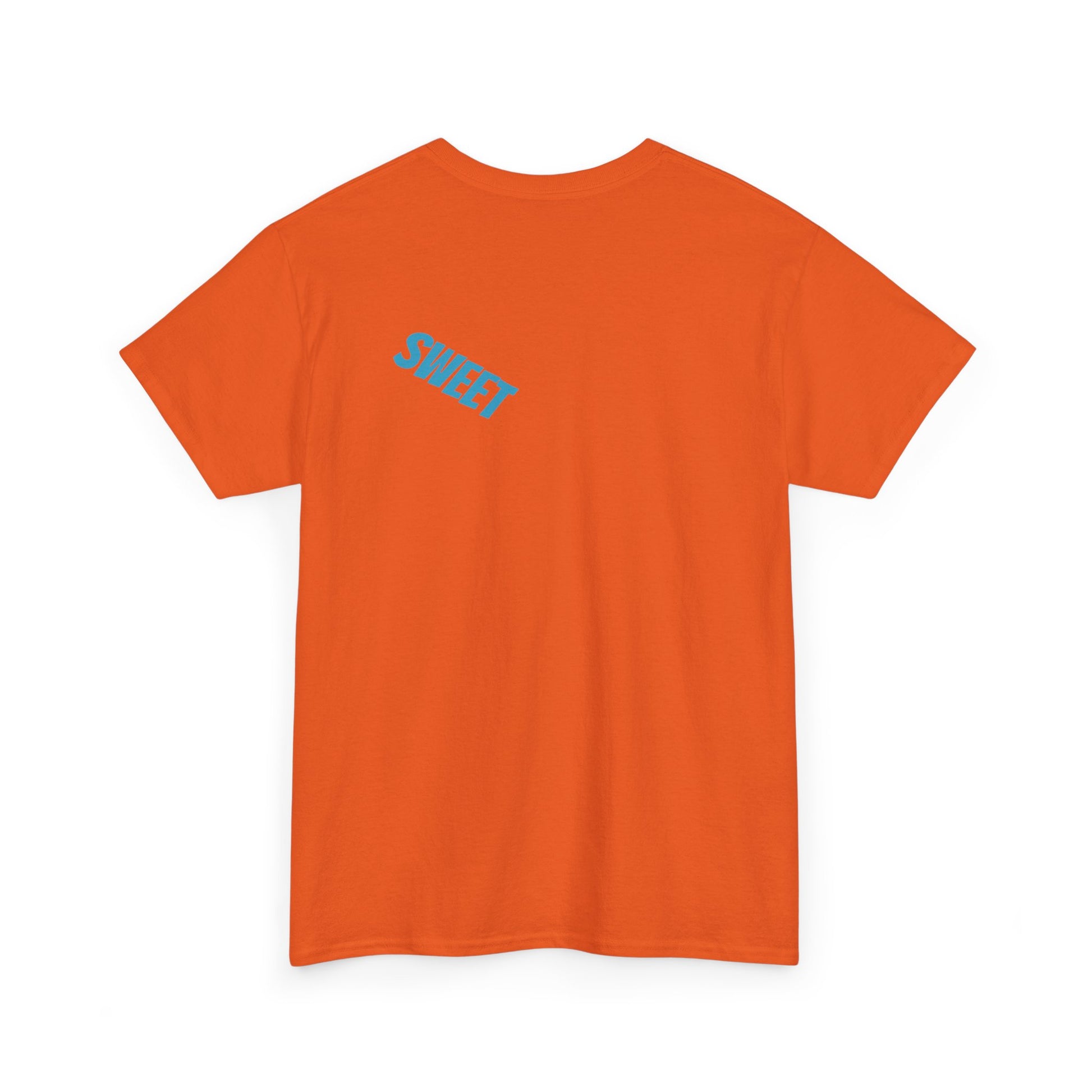 Companion Unisex Heavy 100% US Cotton Tee - Zion Legend Fashions