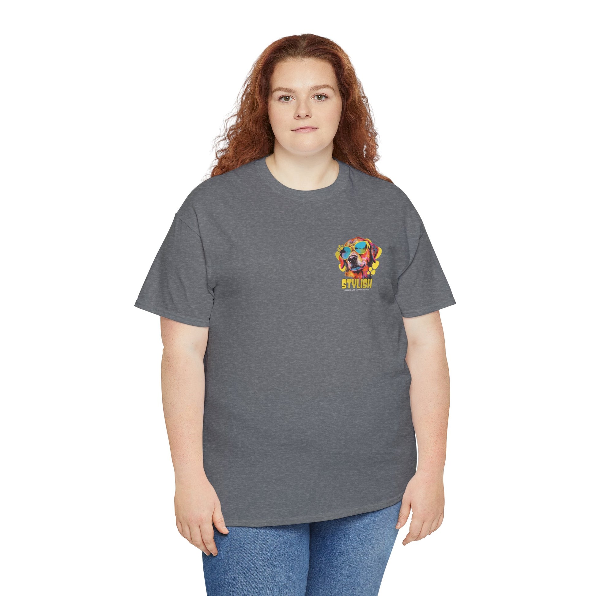 Stylish Unisex Heavy Cotton Tee - Zion Legend Fashions