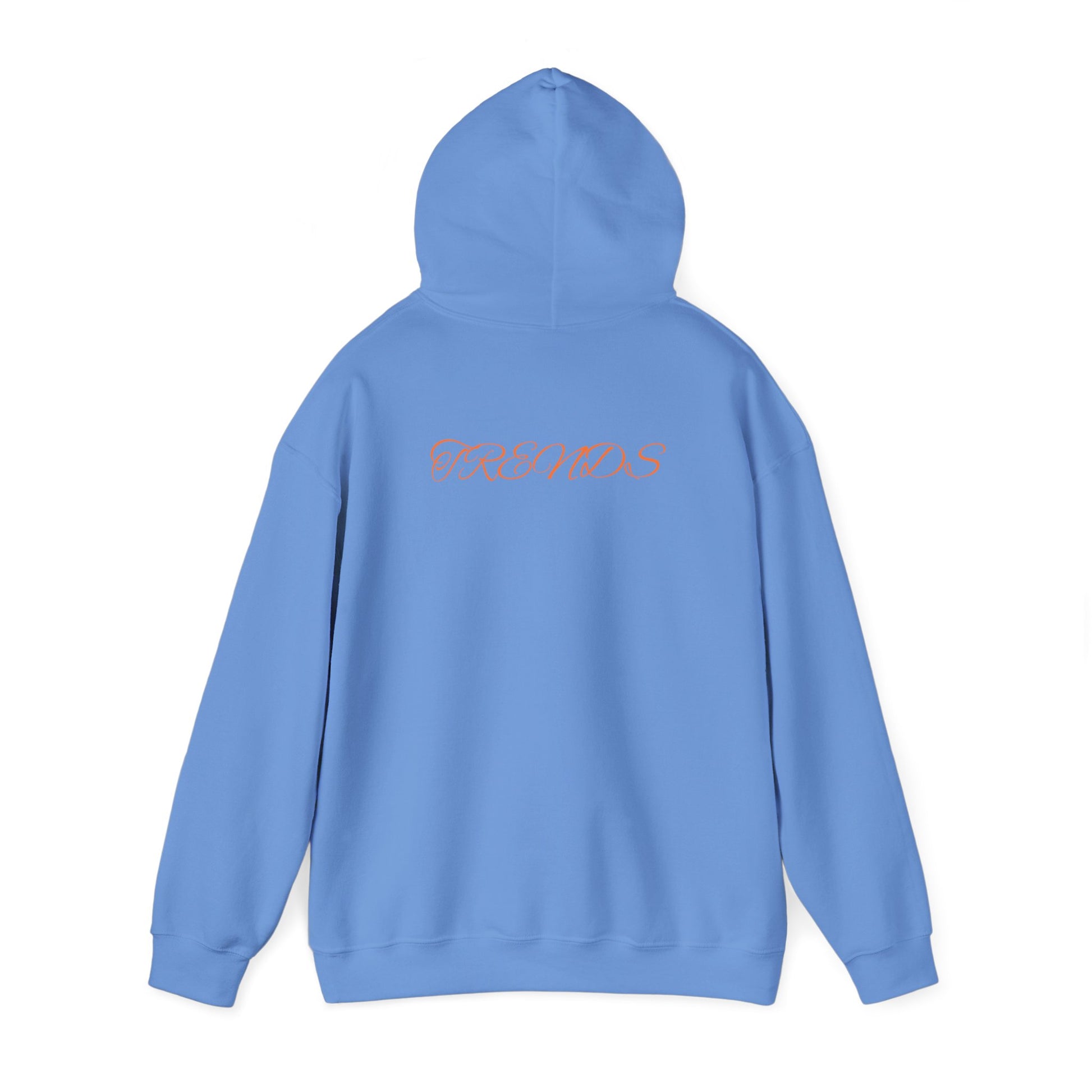 Zion Legend Unisex Heavy Blend™ Hooded Sweatshirt - Zion Legend Fashions