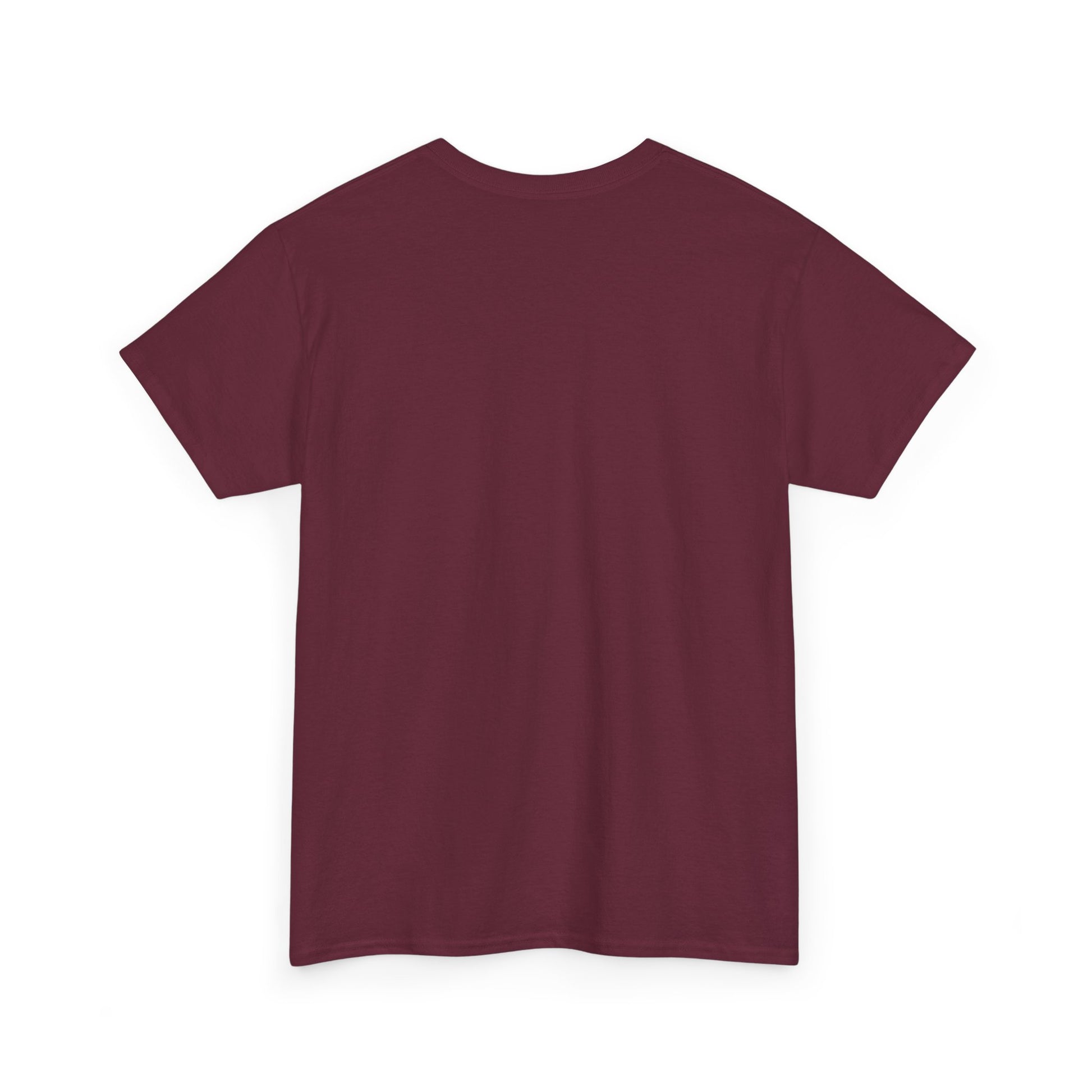 Lots of Fun Unisex  Heavy US Cotton T-Shirt - Zion Legend Fashions