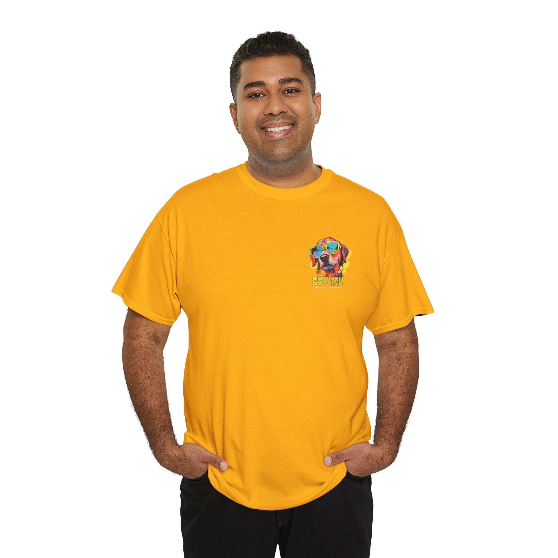 Stylish Unisex Heavy Cotton Tee - Zion Legend Fashions