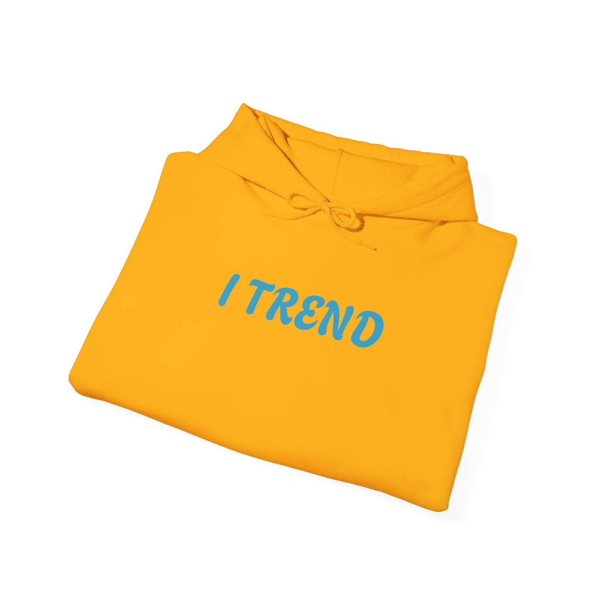I Trend Unisex Heavy Blend™ Hooded Sweatshirt - Zion Legend Fashions