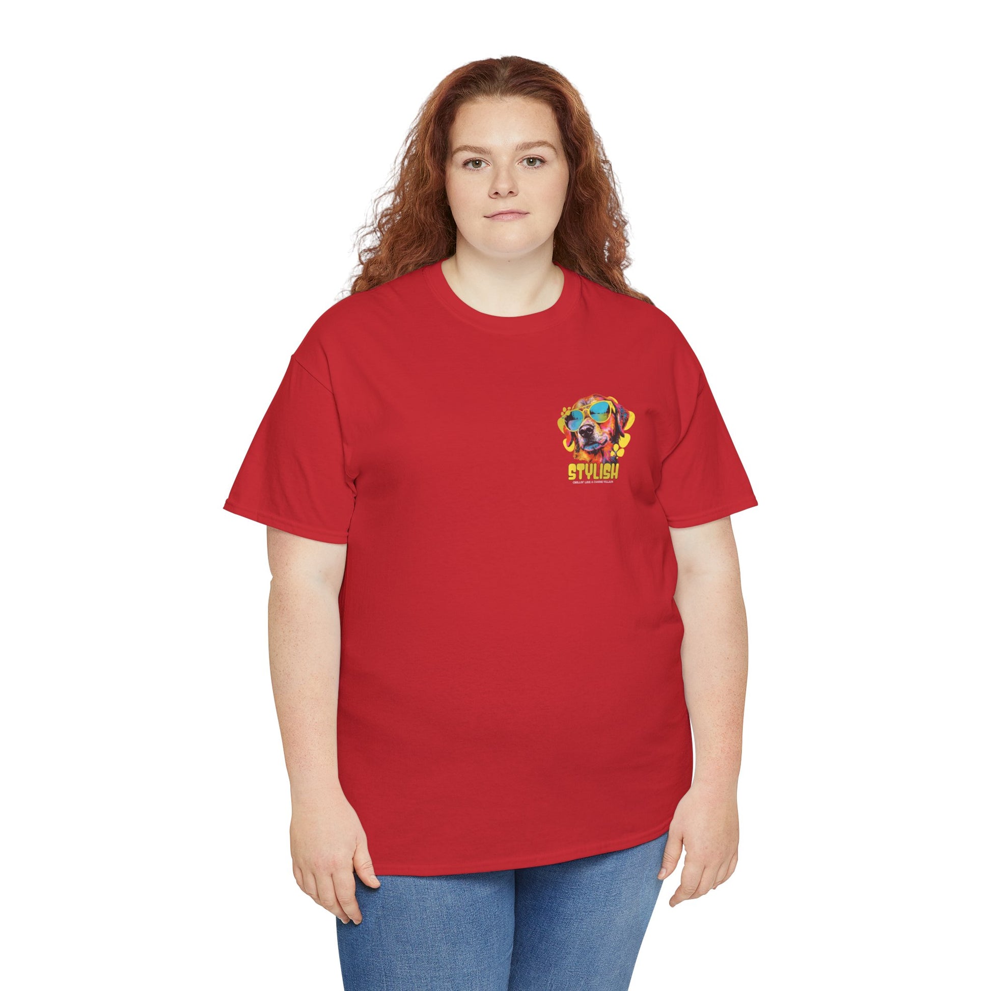Stylish Unisex Heavy Cotton Tee - Zion Legend Fashions