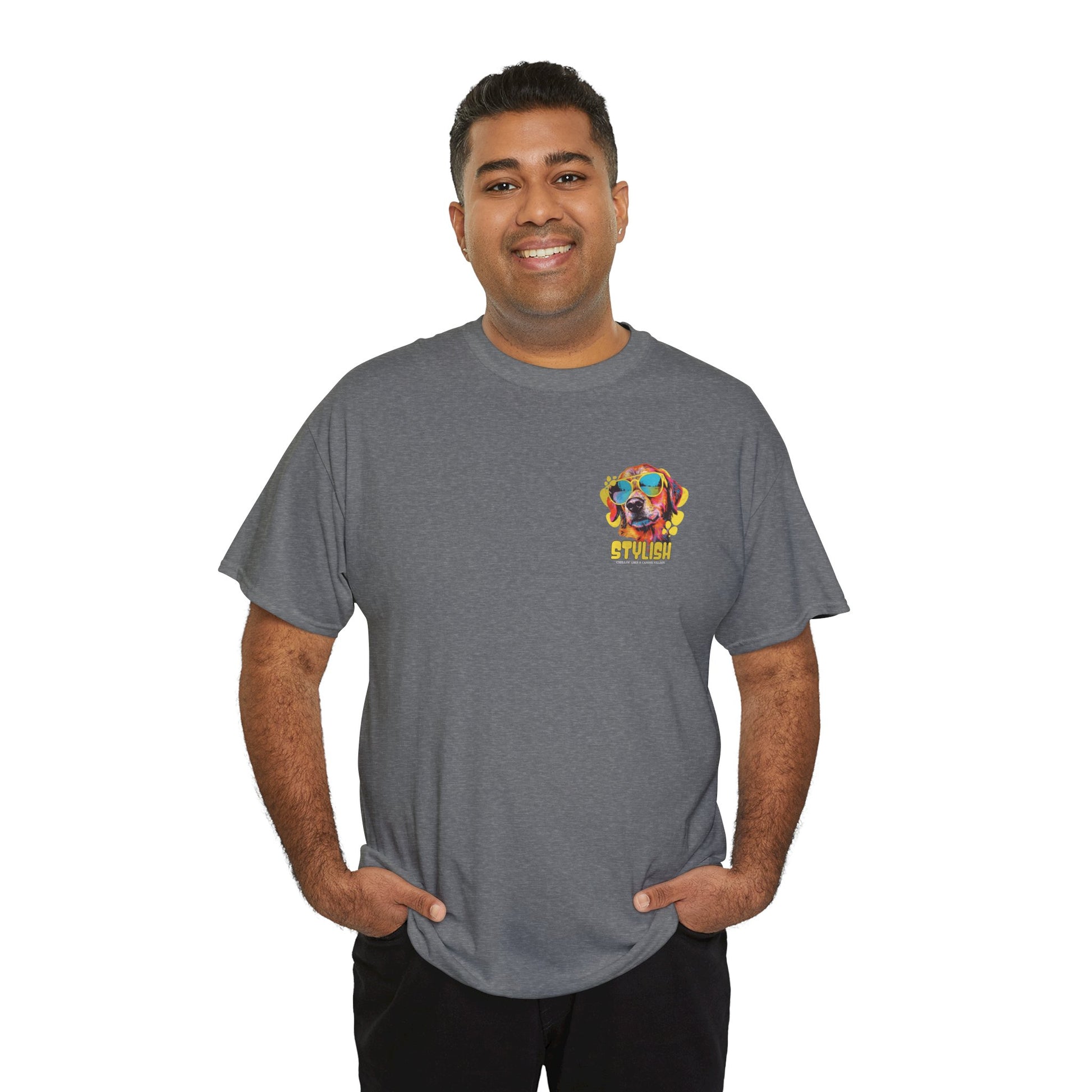 Stylish Unisex Heavy Cotton Tee - Zion Legend Fashions