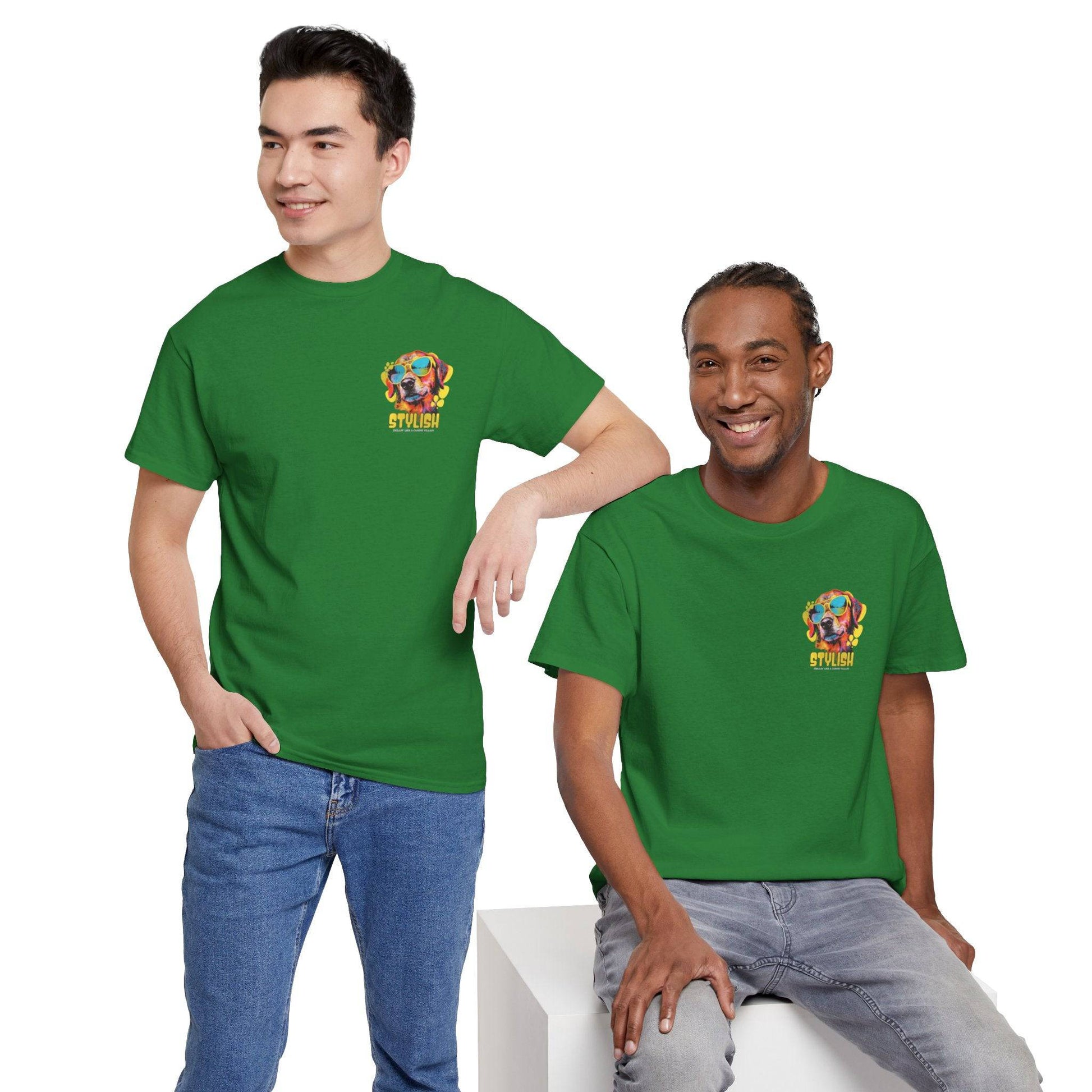 Stylish Unisex Heavy Cotton Tee - Zion Legend Fashions