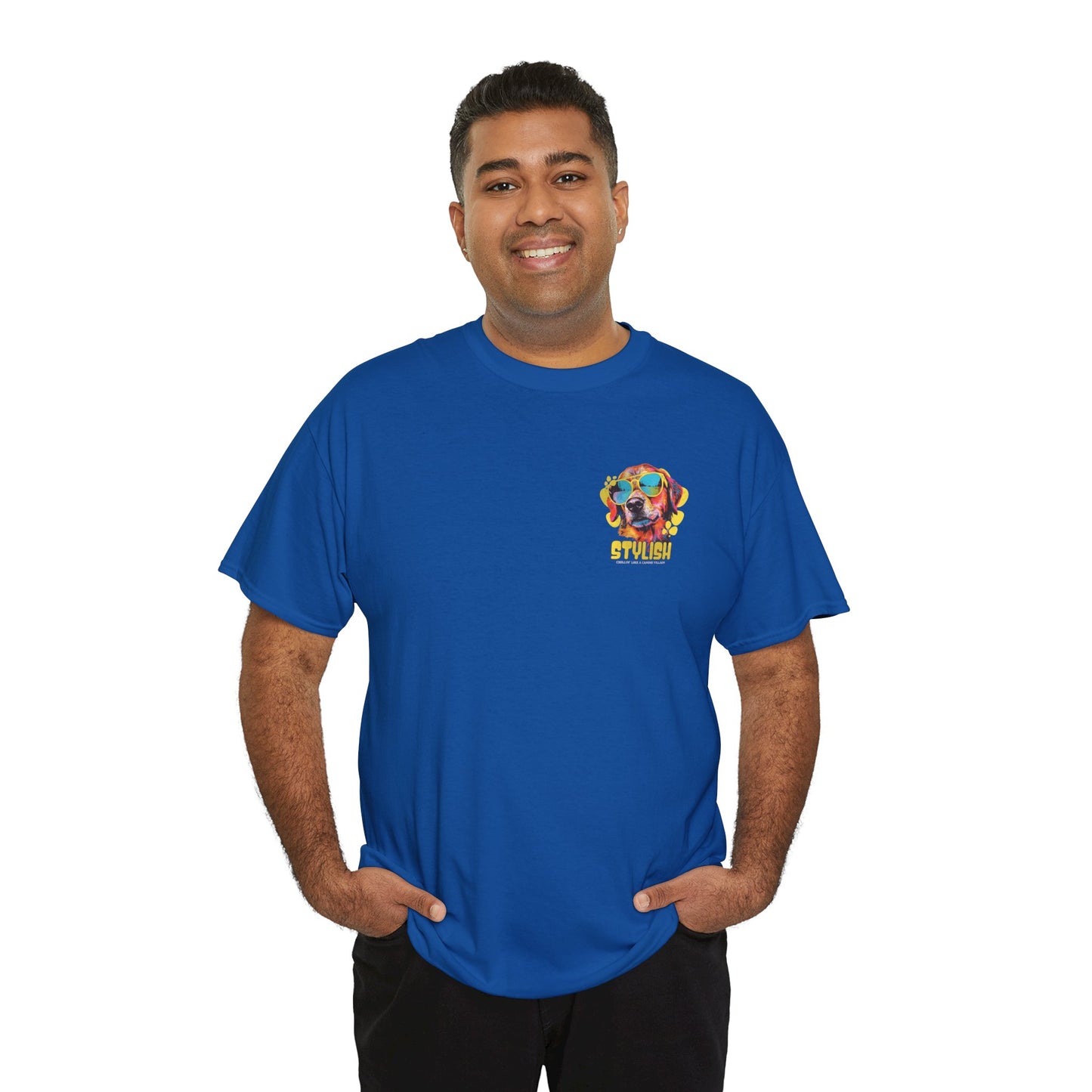 Stylish Unisex Heavy Cotton Tee - Zion Legend Fashions