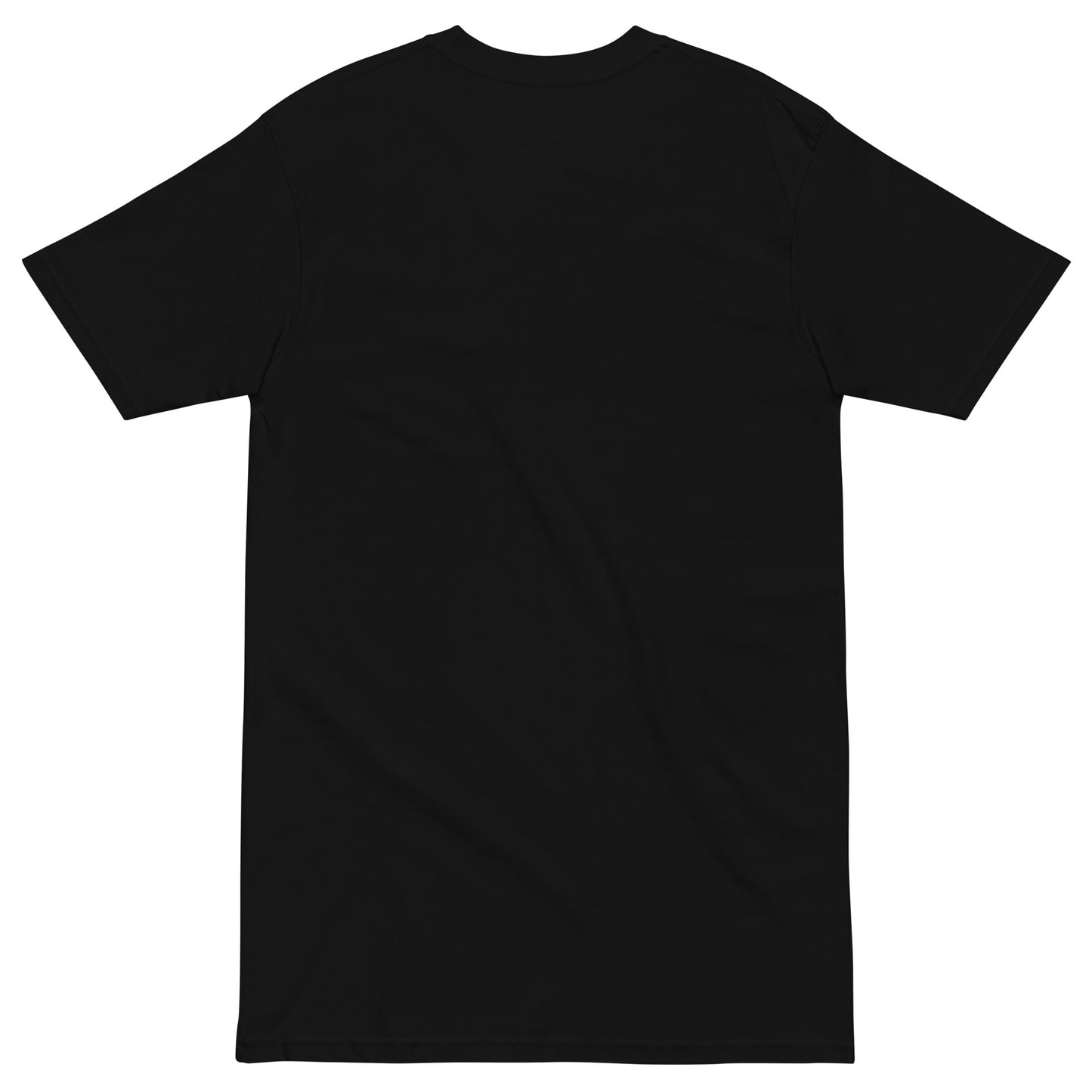 Back view of Everyday Love Men’s premium heavyweight tee in black, showcasing its sturdy and stylish design.