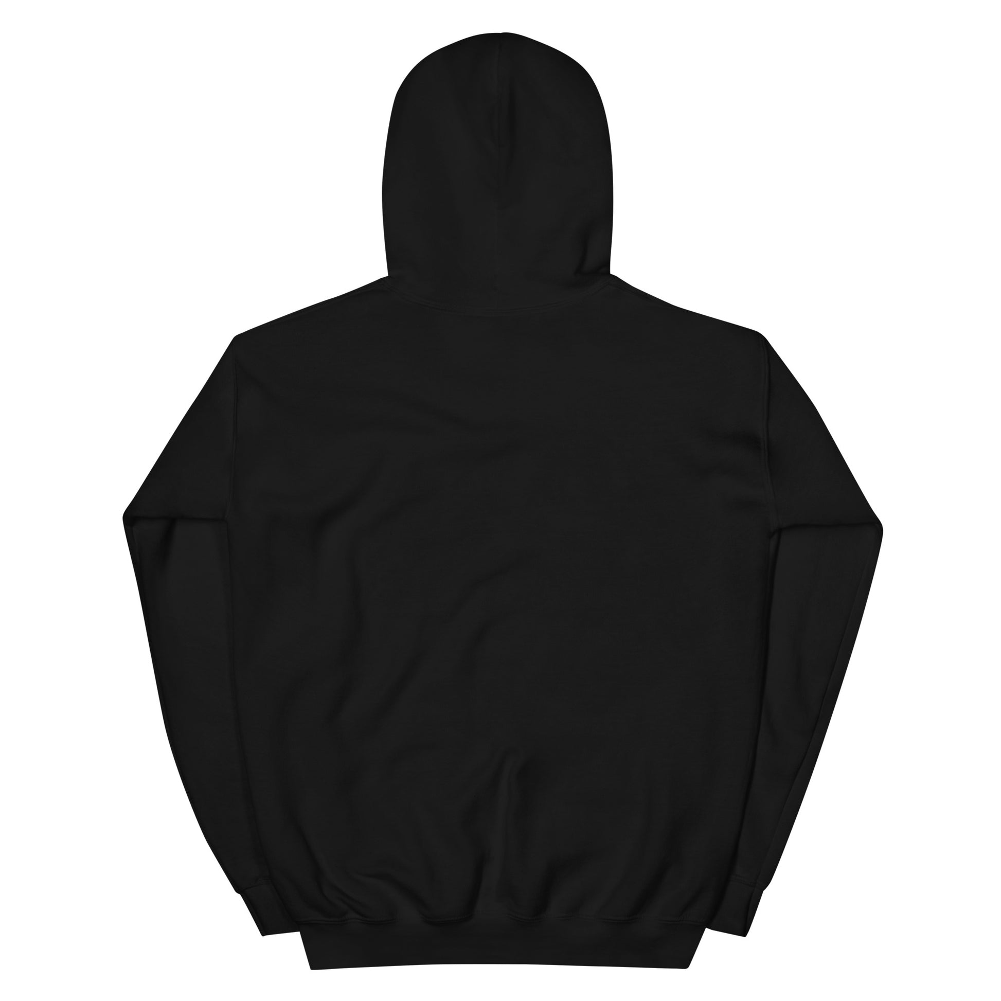 Back view of a black unisex hoodie, showcasing a double-lined hood and soft fabric design.