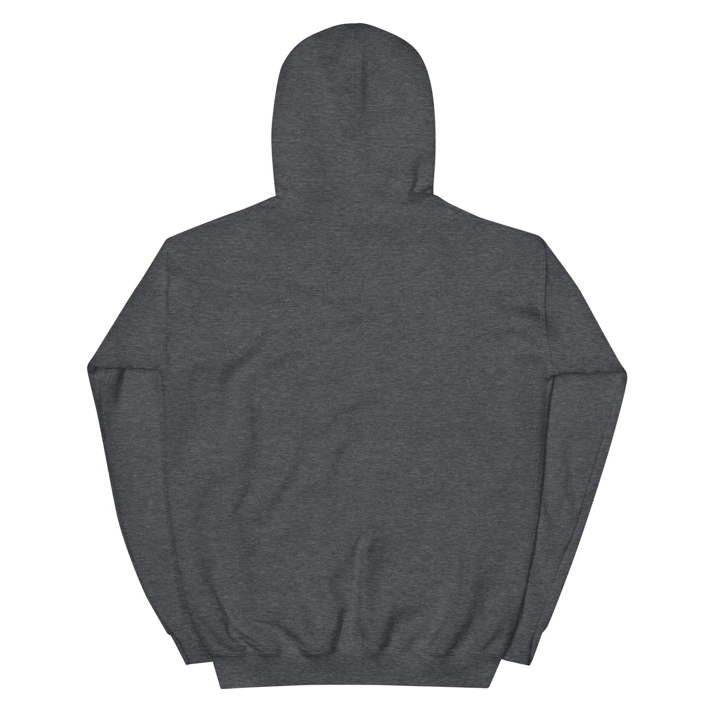 Back view of Timeless Companionship unisex hoodie featuring a soft fabric and double-lined hood design.