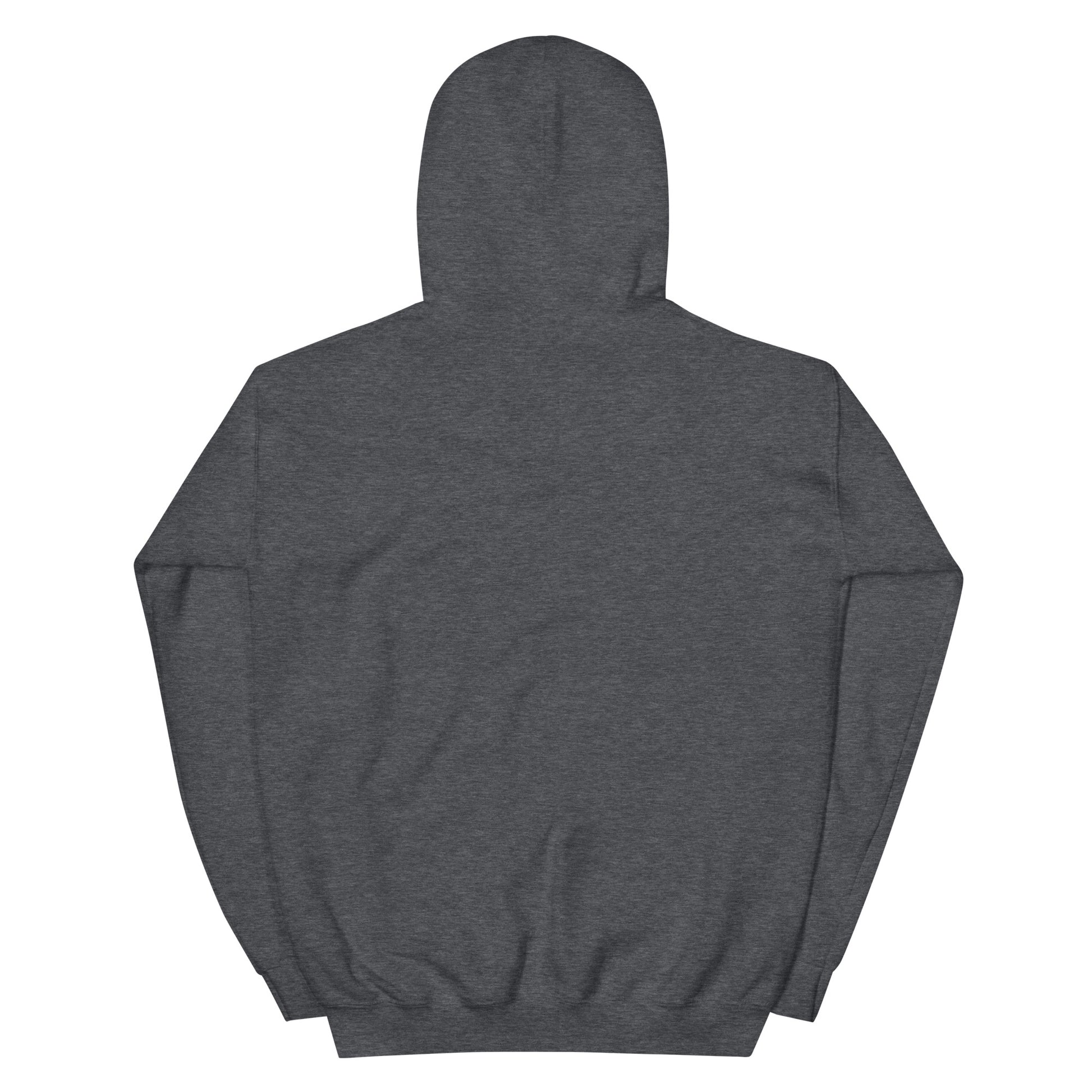 Back view of Timeless Companionship unisex hoodie featuring a soft fabric and double-lined hood design.