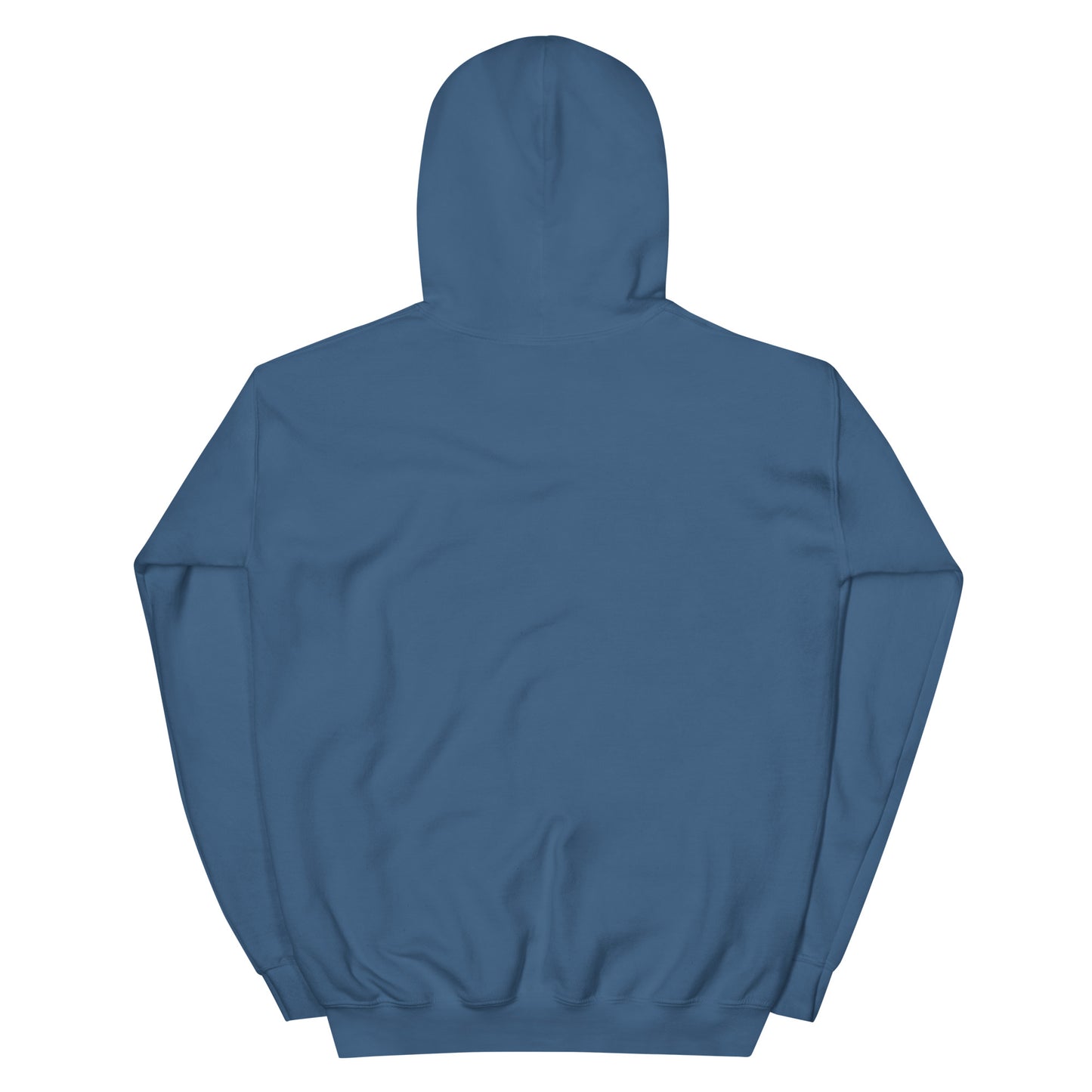 Back view of Timeless Companionship unisex hoodie in blue with a double-lined hood and matching drawcord.
