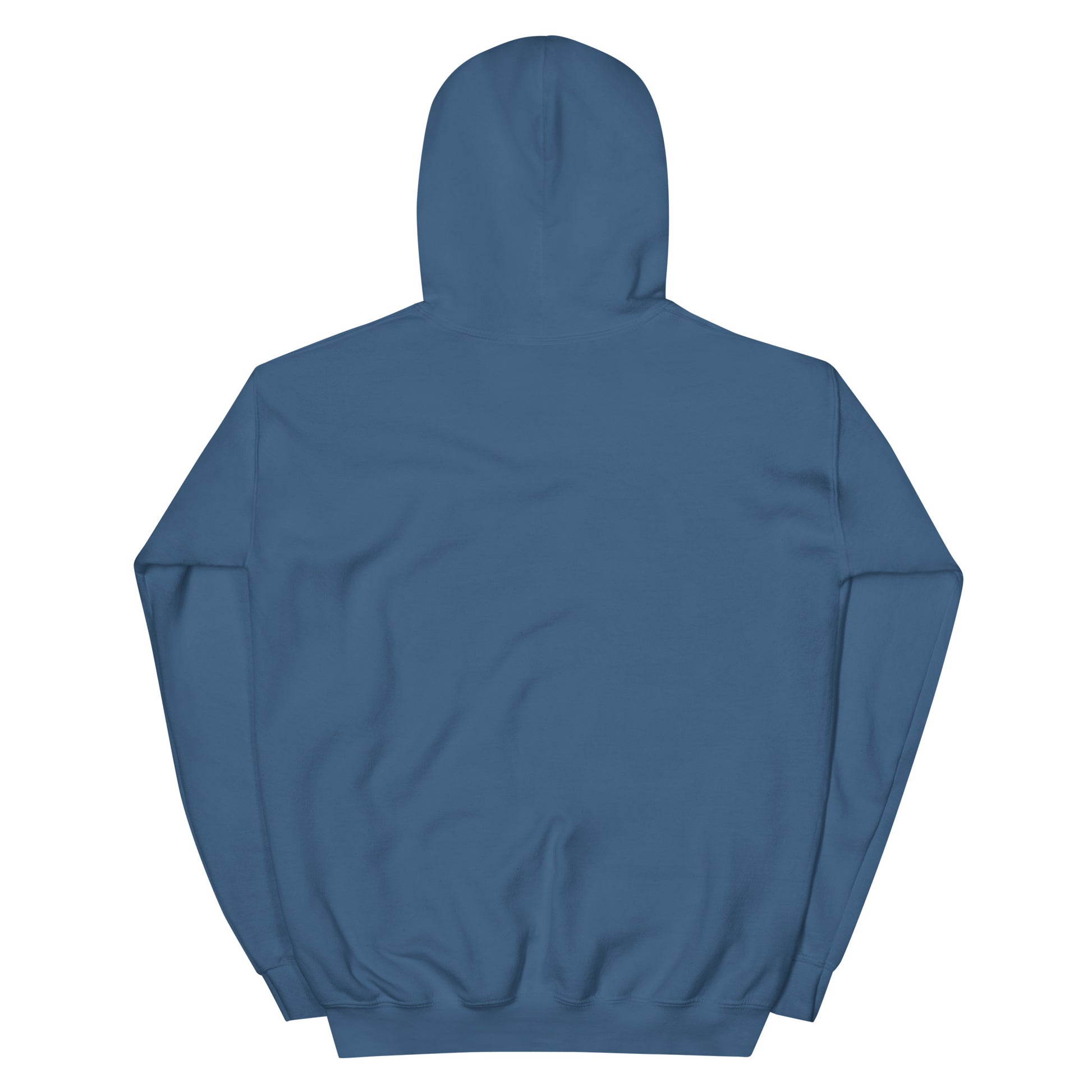 Back view of Timeless Companionship unisex hoodie in blue with a double-lined hood and matching drawcord.