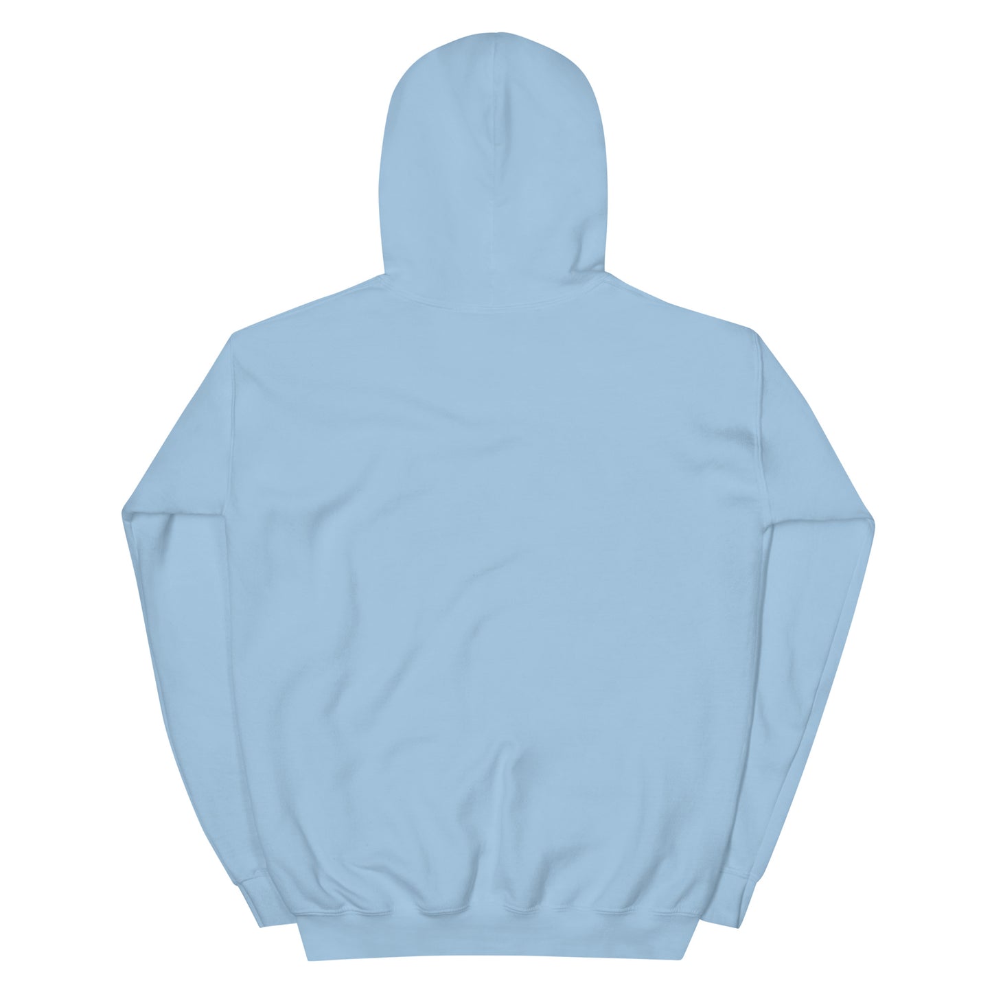 Back view of a light blue unisex hoodie featuring a double-lined hood and soft fabric for comfort.