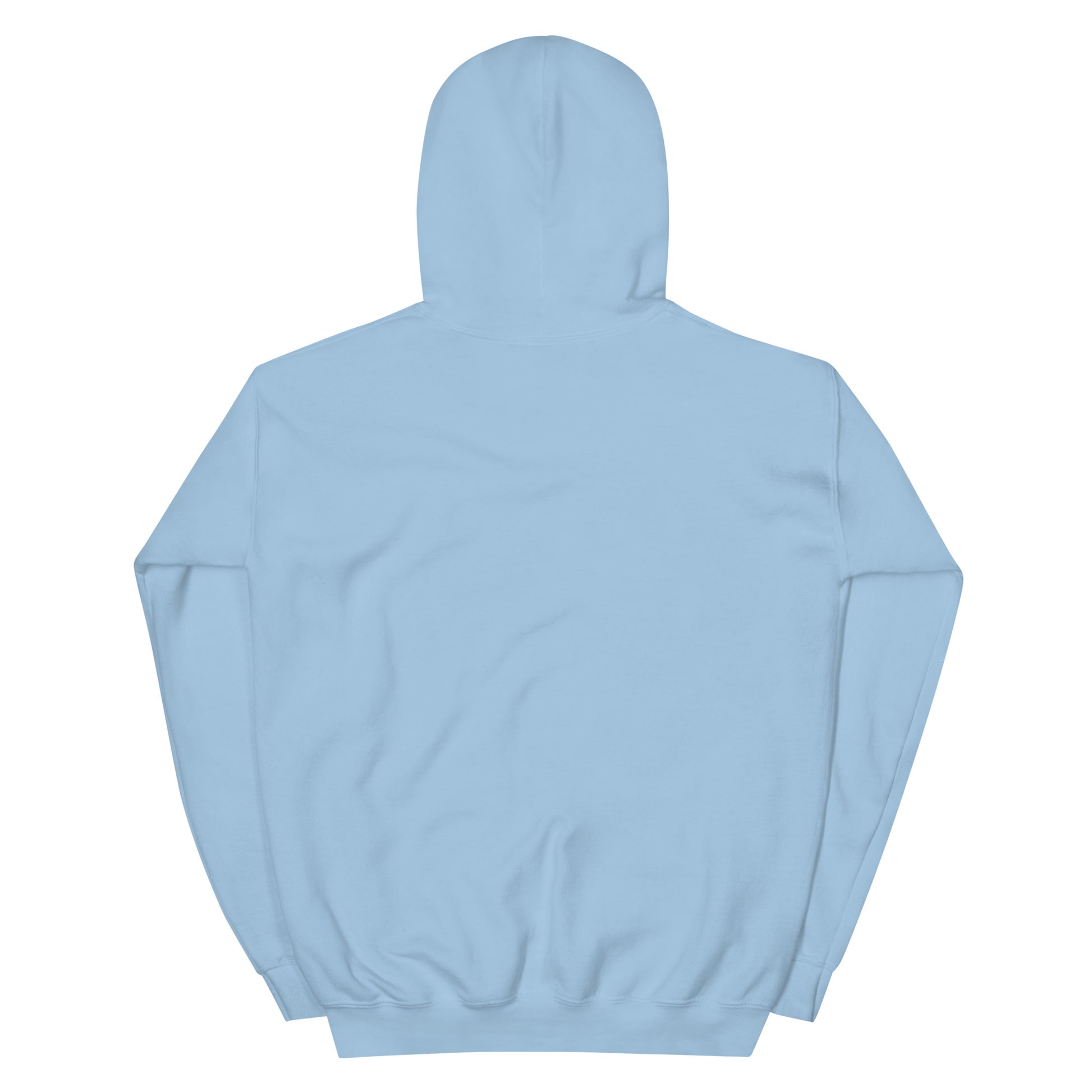 Back view of a light blue unisex hoodie featuring a double-lined hood and soft fabric for comfort.
