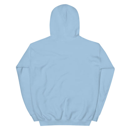 Back view of a light blue unisex hoodie featuring a double-lined hood and soft fabric for comfort.