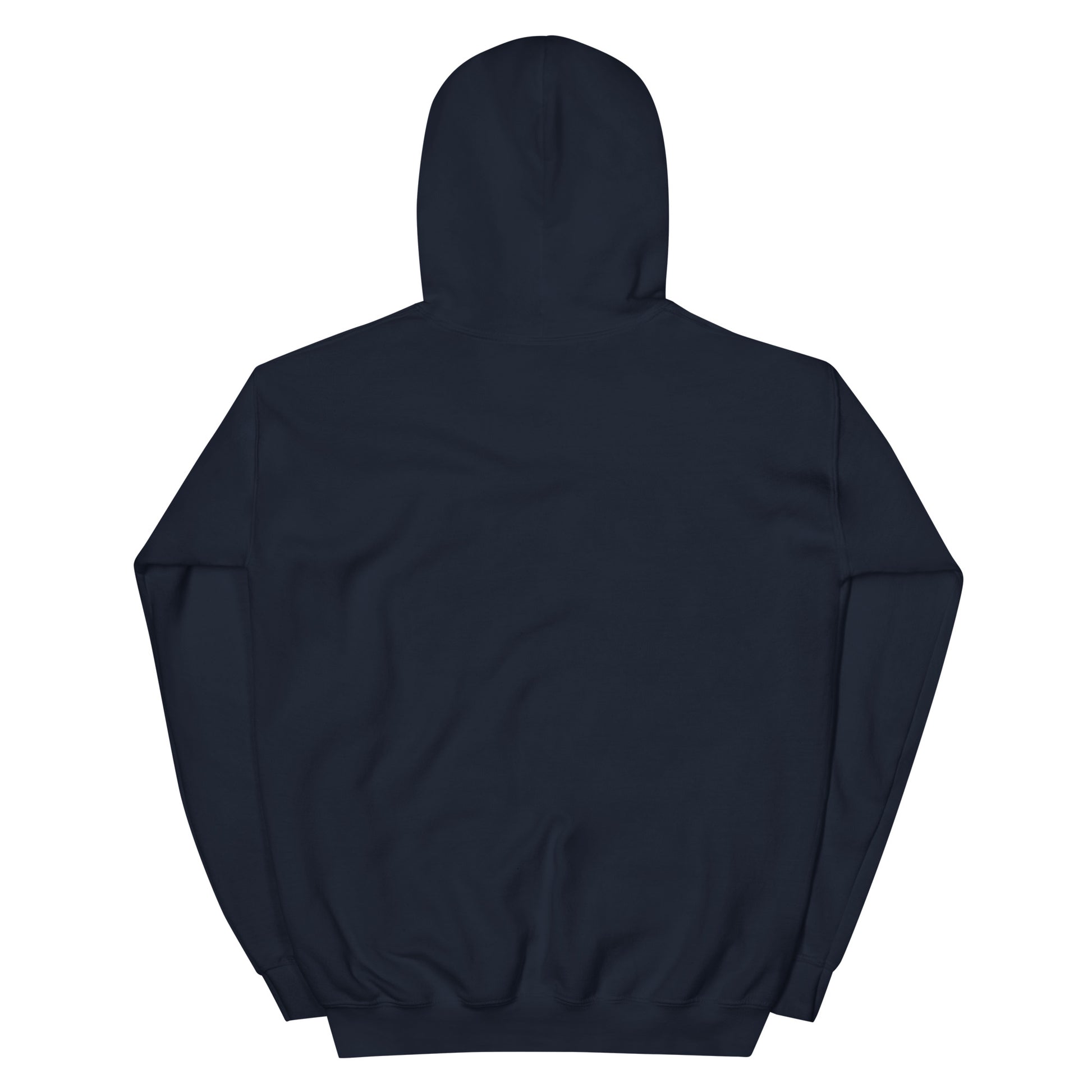 Back view of Timeless Companionship unisex hoodie in dark color, showcasing soft fabric and double-lined hood design.