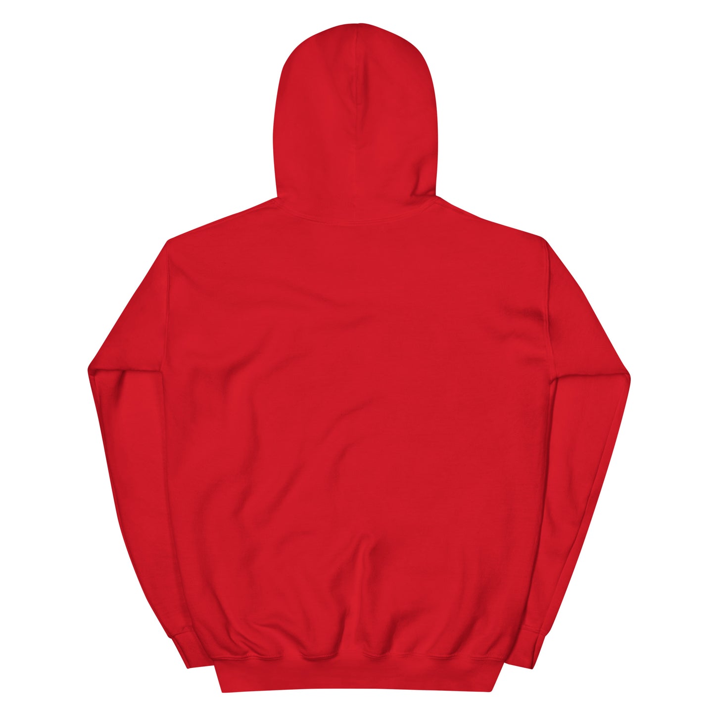 Back view of Timeless Companionship unisex hoodie in vibrant red, showcasing the soft, plush fabric and hood design.