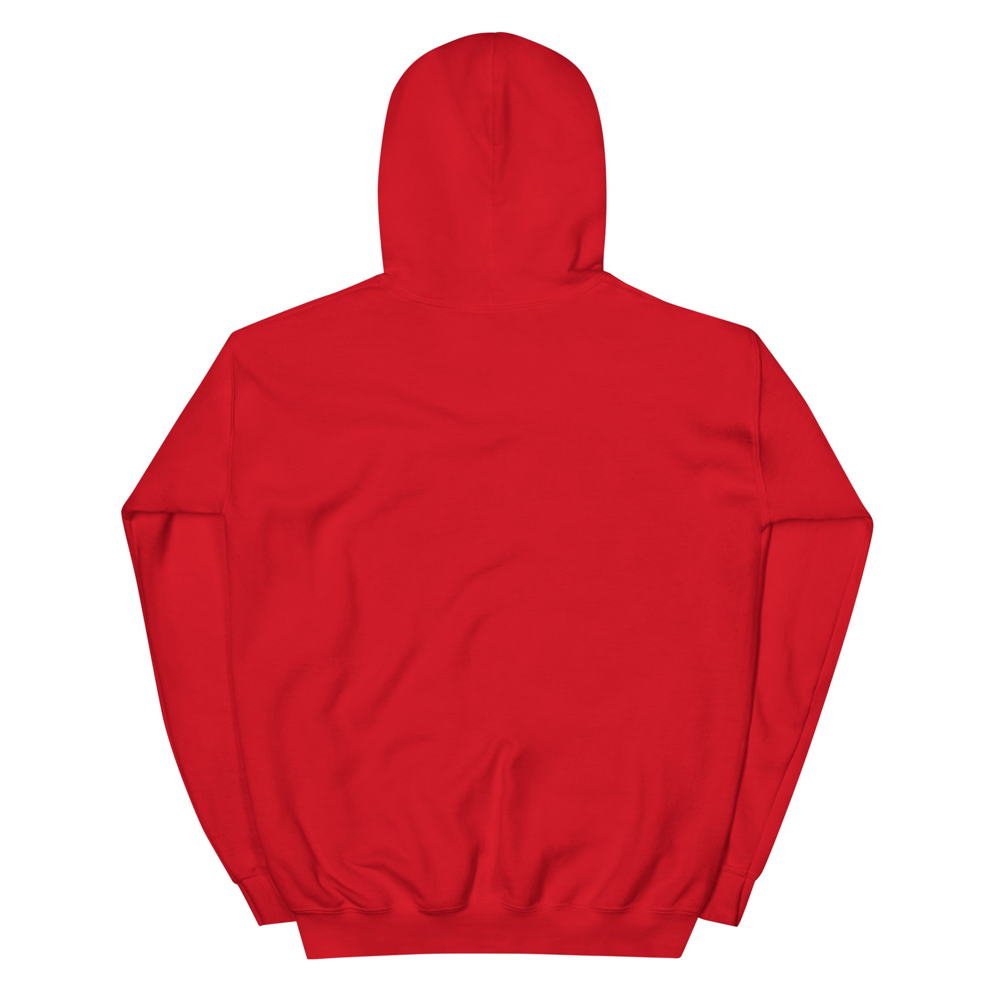 Back view of Timeless Companionship unisex hoodie in vibrant red, showcasing the soft, plush fabric and hood design.