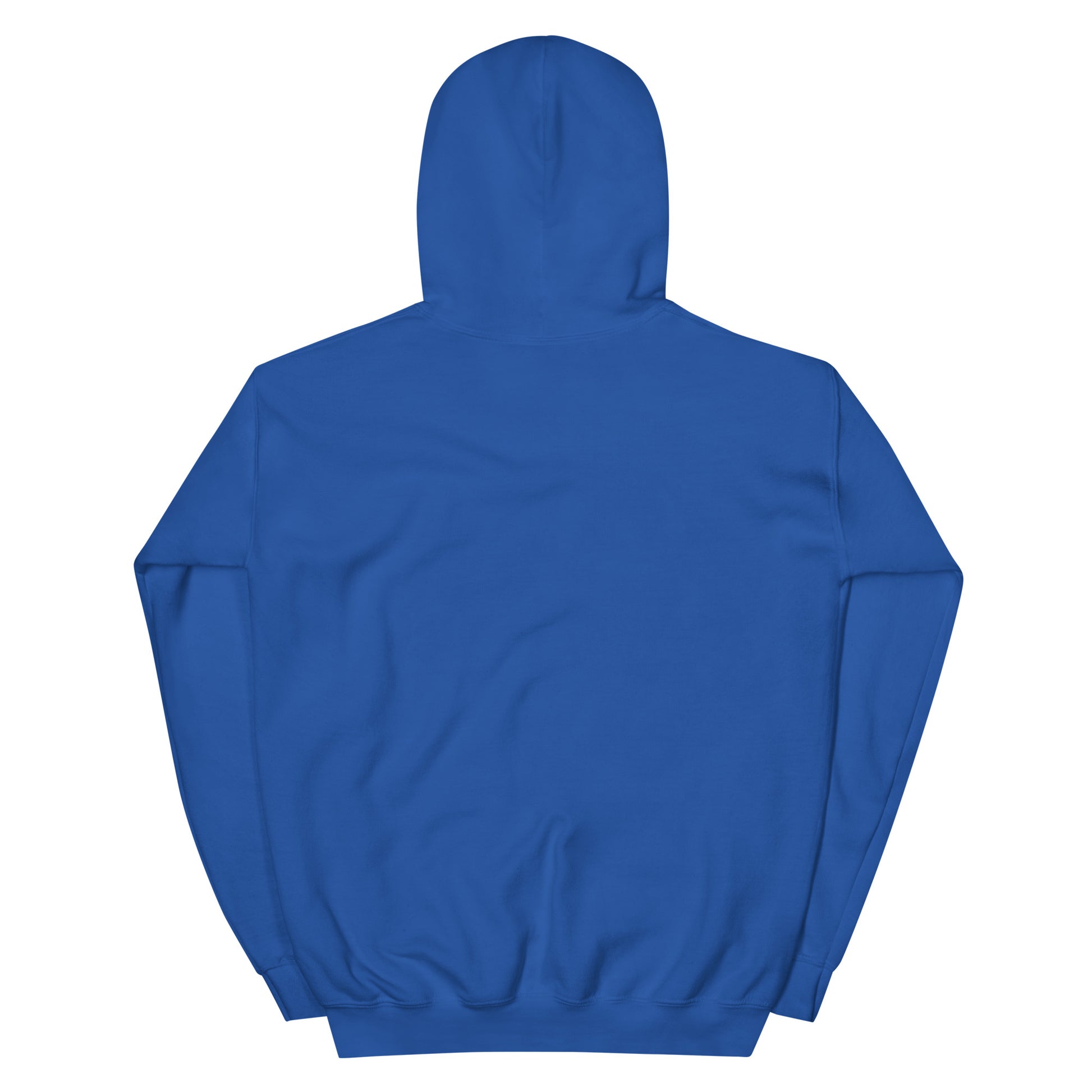 Back view of the Timeless Companionship unisex hoodie in vibrant blue, featuring a cozy double-lined hood.