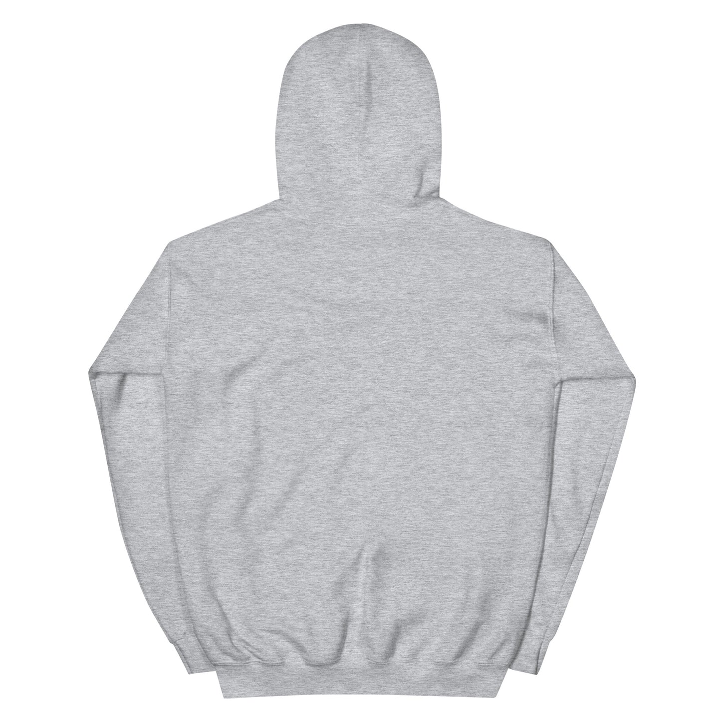 Back view of the Timeless Companionship unisex hoodie in heather gray, showcasing its double-lined hood and soft fabric.