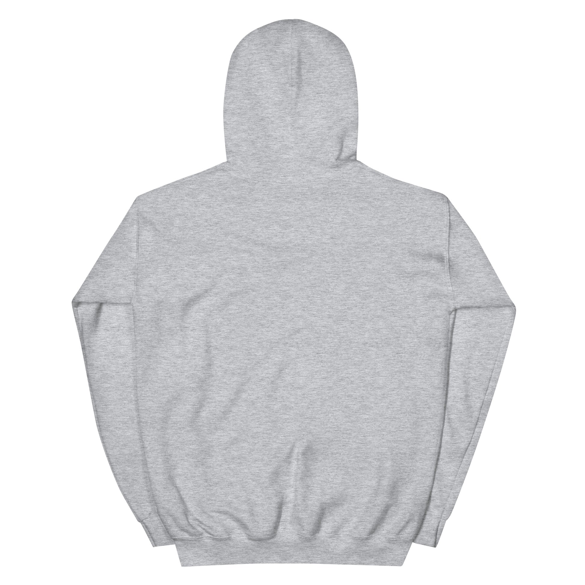 Back view of the Timeless Companionship unisex hoodie in heather gray, showcasing its double-lined hood and soft fabric.