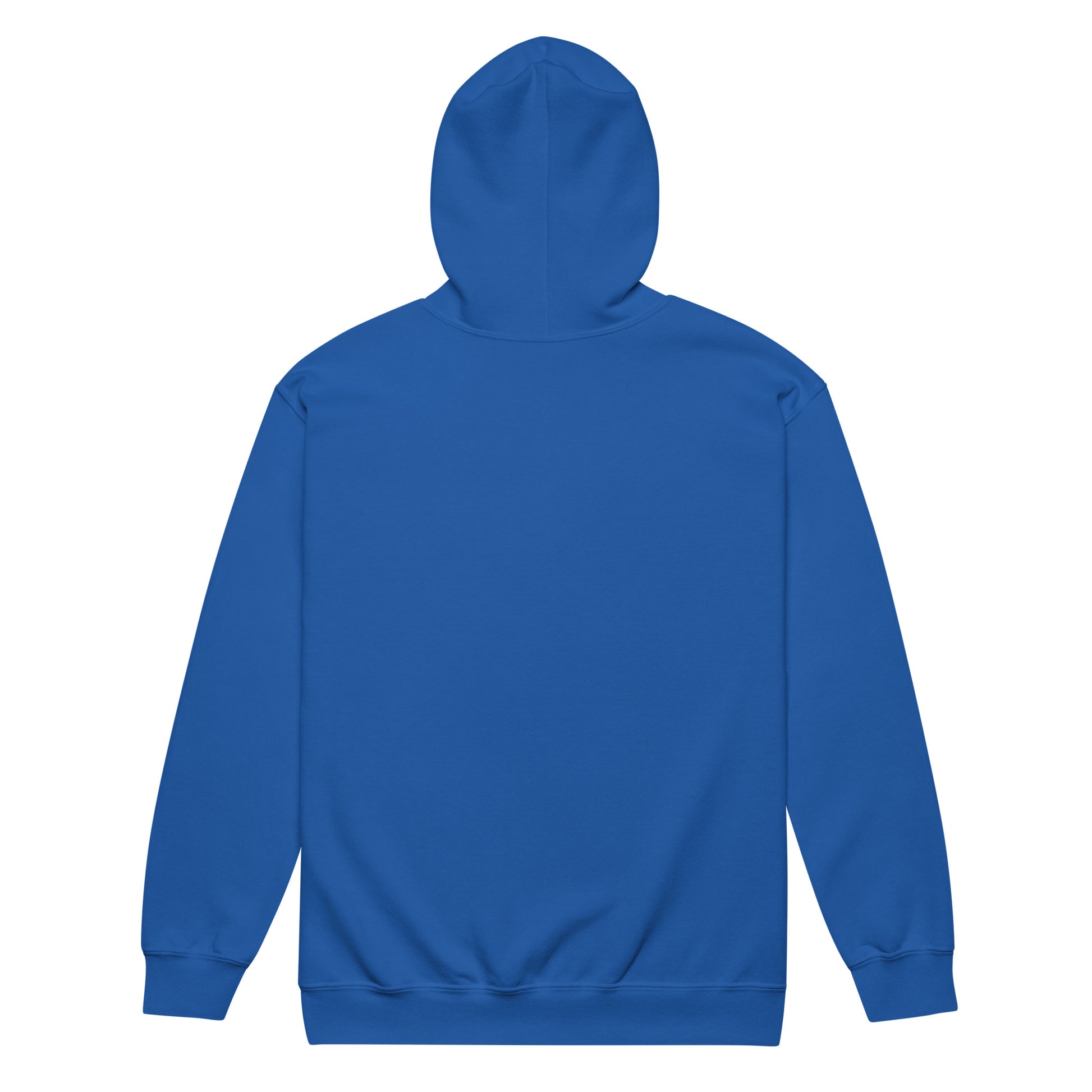 Back view of unisex heavy blend blue zip hoodie with a soft fleece fabric and unlined hood.