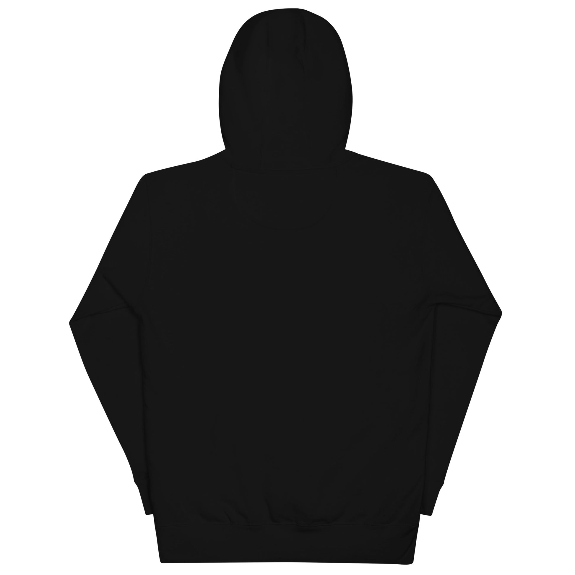 Back view of a black Gentle Nurse unisex hoodie showcasing its 3-panel hood and sleek design.