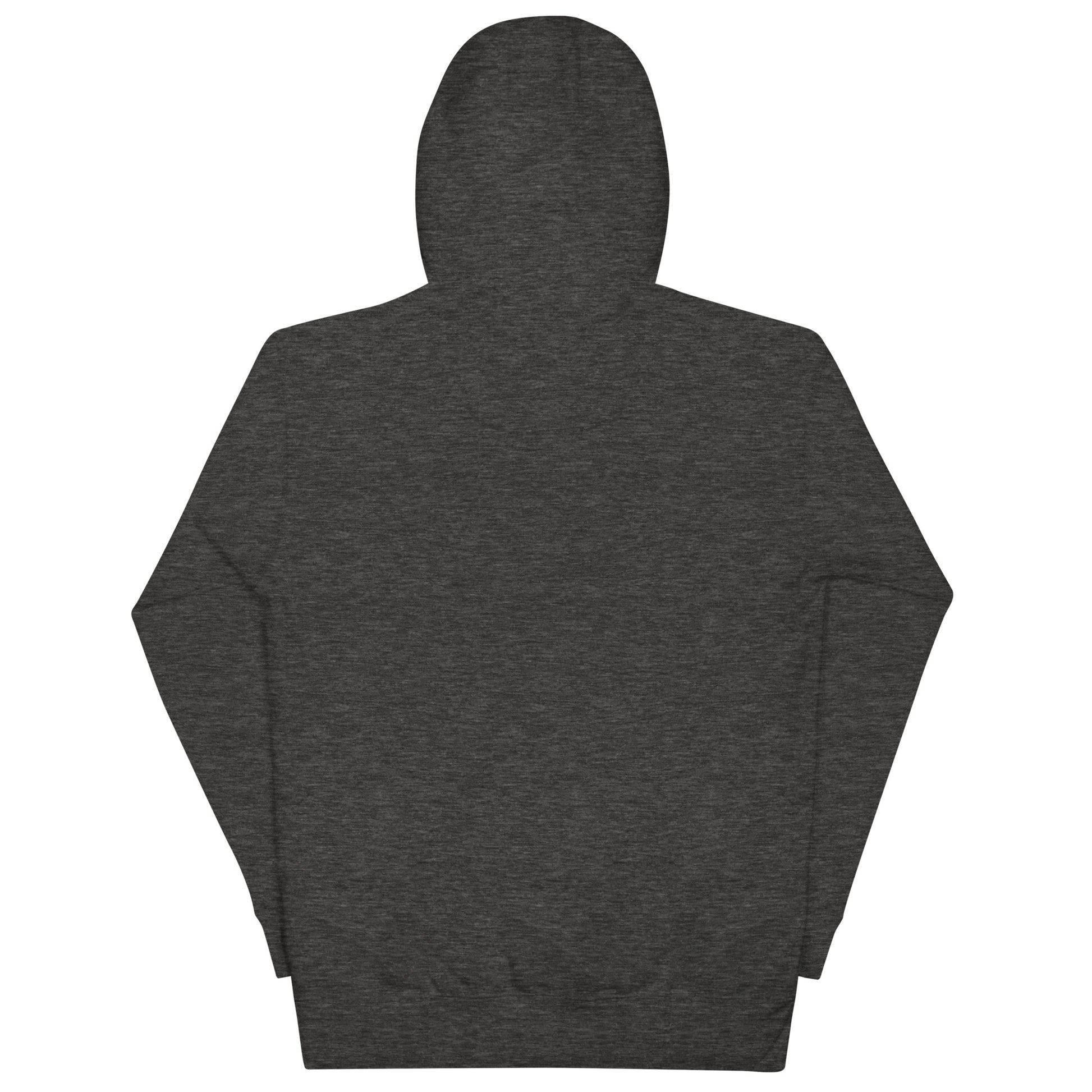 Back view of Gentle Nurse unisex hoodie in dark gray, featuring a 3-panel hood and soft fabric.